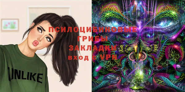 ПСИЛОЦИБИНОВЫЕ ГРИБЫ Лихославль