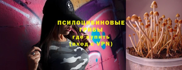 ПСИЛОЦИБИНОВЫЕ ГРИБЫ Лихославль