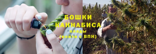ПСИЛОЦИБИНОВЫЕ ГРИБЫ Лихославль