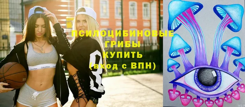 сколько стоит Агидель Галлюциногенные грибы ЛСД