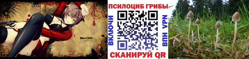 Галлюциногенные грибы GOLDEN TEACHER  Агидель 